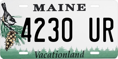 ME license plate 4230UR