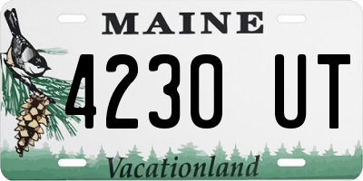 ME license plate 4230UT