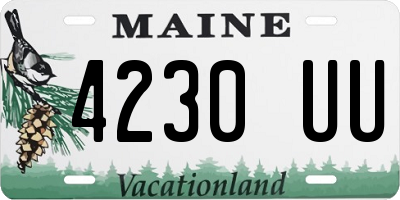 ME license plate 4230UU