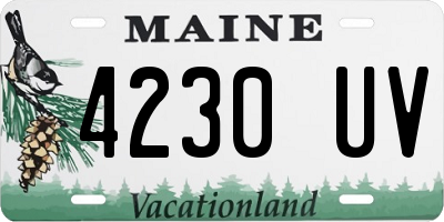 ME license plate 4230UV
