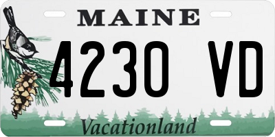 ME license plate 4230VD