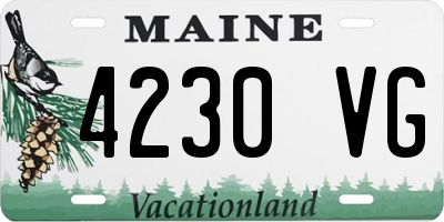 ME license plate 4230VG