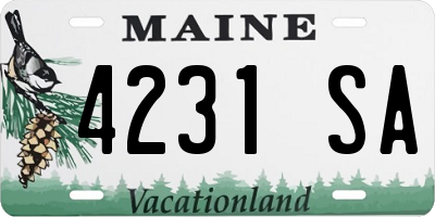 ME license plate 4231SA