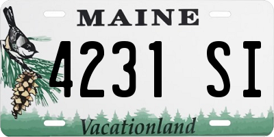 ME license plate 4231SI