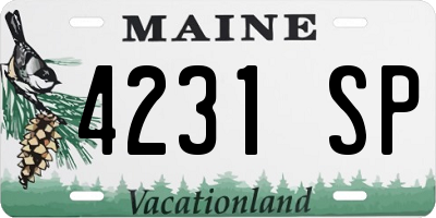 ME license plate 4231SP