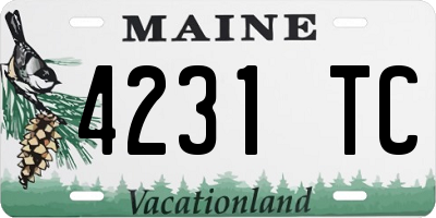 ME license plate 4231TC
