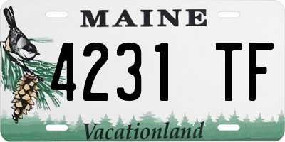 ME license plate 4231TF
