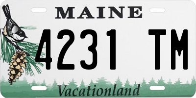 ME license plate 4231TM