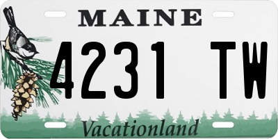 ME license plate 4231TW