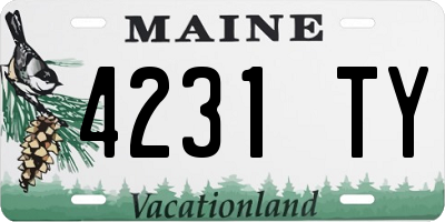 ME license plate 4231TY
