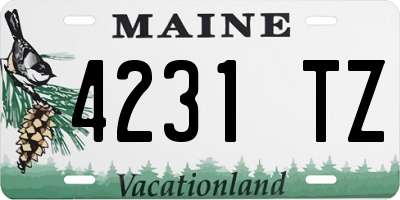 ME license plate 4231TZ