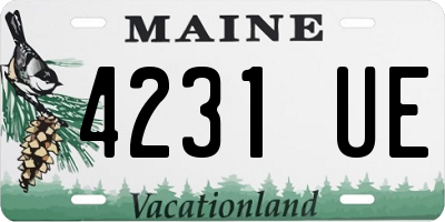 ME license plate 4231UE