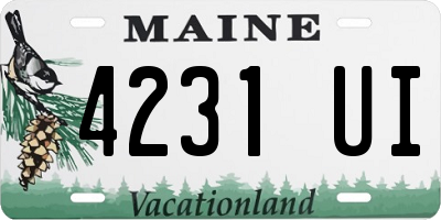ME license plate 4231UI