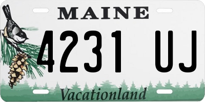 ME license plate 4231UJ