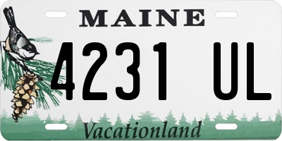 ME license plate 4231UL