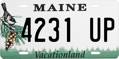 ME license plate 4231UP