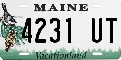 ME license plate 4231UT