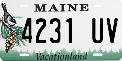 ME license plate 4231UV