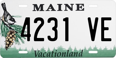 ME license plate 4231VE