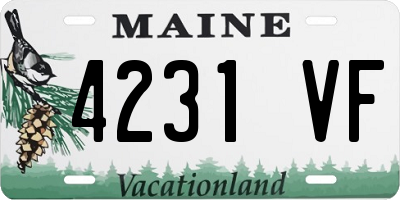 ME license plate 4231VF