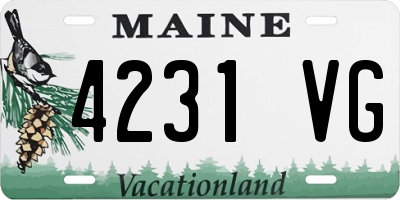 ME license plate 4231VG