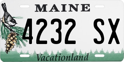 ME license plate 4232SX