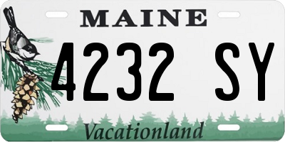ME license plate 4232SY