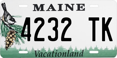 ME license plate 4232TK