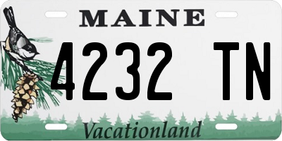 ME license plate 4232TN