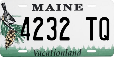 ME license plate 4232TQ
