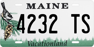 ME license plate 4232TS