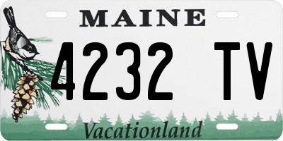 ME license plate 4232TV