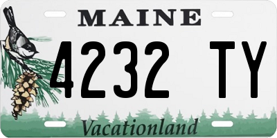 ME license plate 4232TY