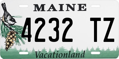 ME license plate 4232TZ