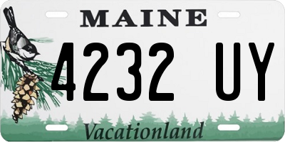ME license plate 4232UY