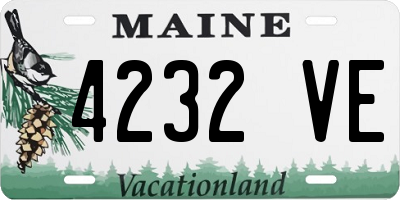 ME license plate 4232VE