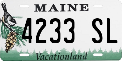 ME license plate 4233SL