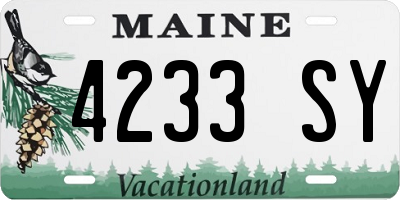 ME license plate 4233SY
