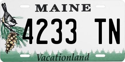 ME license plate 4233TN