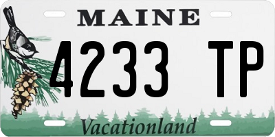 ME license plate 4233TP