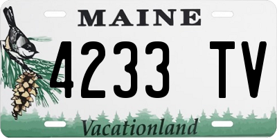 ME license plate 4233TV