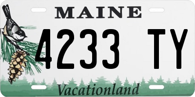 ME license plate 4233TY