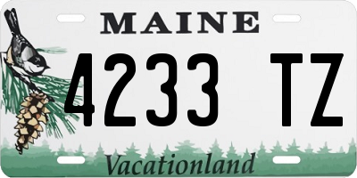 ME license plate 4233TZ