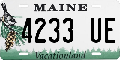 ME license plate 4233UE