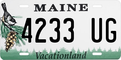 ME license plate 4233UG
