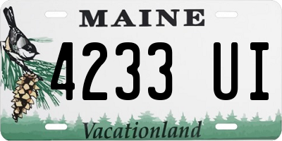 ME license plate 4233UI