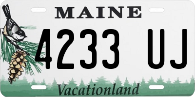 ME license plate 4233UJ