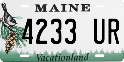 ME license plate 4233UR