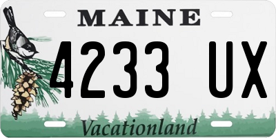 ME license plate 4233UX