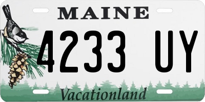 ME license plate 4233UY